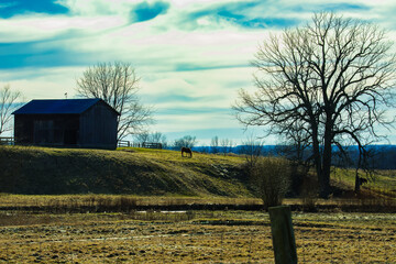 Landscape with a Fence