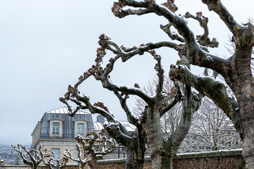 NIEVE EN PIEDRAHITA AÑO 2021