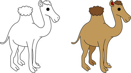 Chamel vector drawing cartoon coloring for children line art and colored