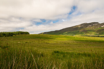 Panorama di campagna irlandese