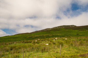 Panorama di campagna irlandese