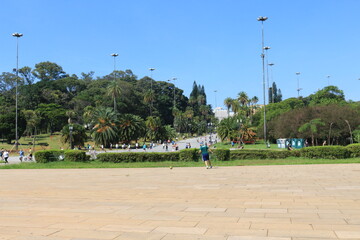Obraz premium park in the city