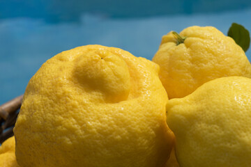 close-up of natural sunny yellow lemons by the pool lovely fruits
