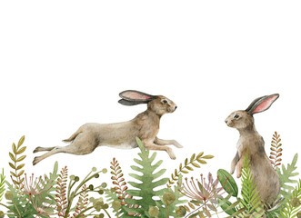 Bunny in forest herbs seamless border. Watercolor illustration. Cute bunny jump and stand in the grass on white background. Rabbits in the meadow seamless decor. Natural hand drawn border element © anitapol