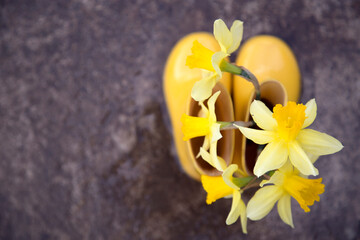 Plakat Composition of yellow rubber children's boots and blooming daffodils in the spring in nature.