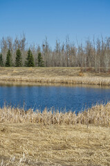 Pylypow Wetlands on a Spring Day