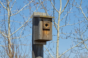 A Close Up of a Birdhouse for Tree Swallows