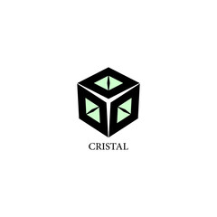 vector abstract geometric crystal logo for your company