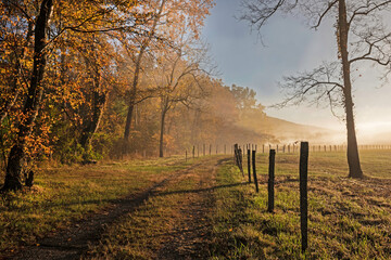 Fog rises from the creek in golden light at Cades Cove. - 431551558