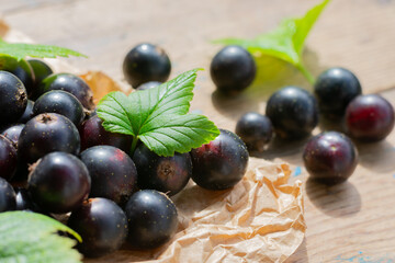 Composition with a lot of seasonal berries on wooden table. Appetizing black currants