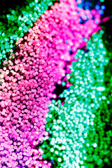 Macro view of colourful fibre optic strands