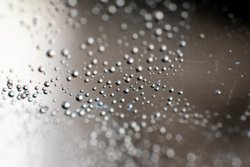 Natural background with spiderweb. Round spheric small waterdops on complicated entangled wet web threads