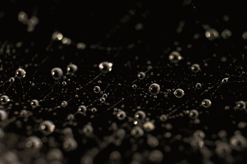 Abstract background with gradients and macro little round water drops on blurred backdrop with bokeh effect.Spiderweb with delicate thread connections on black