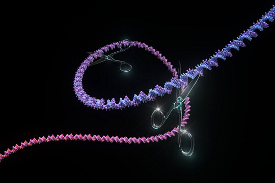 DNA strand being cut crispr scissors genetic modification. 3d render