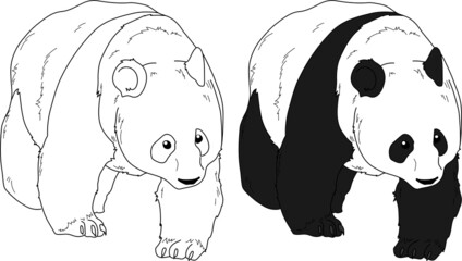 Panda vector drawing cartoon coloring for children line art and colored