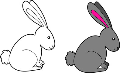 Rabbit bunny vector drawing cartoon coloring for children line art and colored