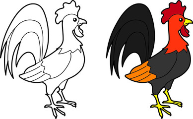 Rooster vector drawing cartoon coloring for children line art and colored