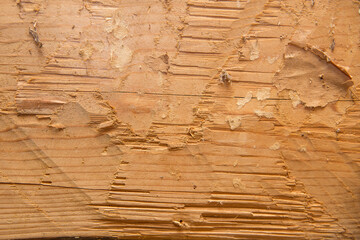 Wooden surface. Background image.