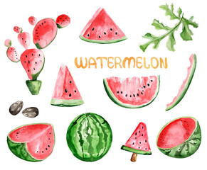 Watermelon watercolor set illustration. Template for decorating designs and illustrations.
