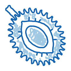 Durian Sliced Tropical Fruit doodle icon hand drawn illustration