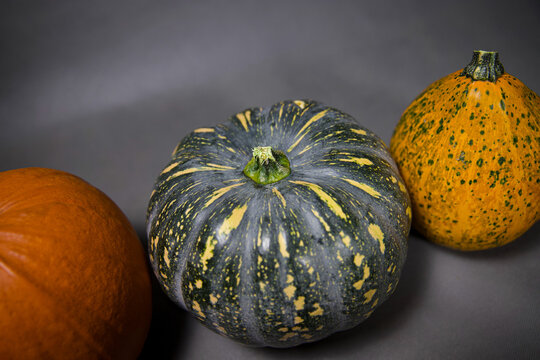 Three different colored pumpkins on a solid gray background.