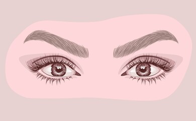 Sexy luxurious eye with perfectly shaped eyebrows and full lashes. Idea for business visit card, typography vector. Perfect salon look.