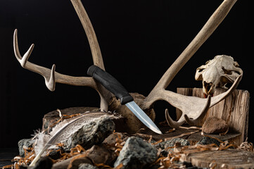 Hunting knife and the remains of various animals. Knife on the background of the horn and skull of an animal.