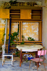 an abandoned room where plants start to grow 
