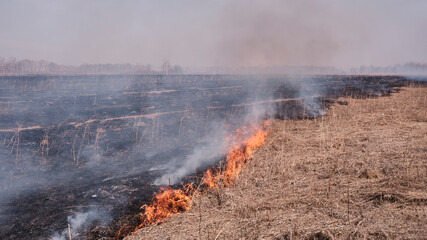 In the spring, dry grass burns on the field.