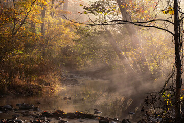 Fog rises from the creek in golden light at Cades Cove. - 431557553