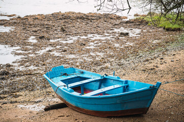 Wooden boat placed on wet shore in park