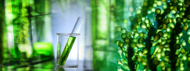 Photobioreactor in medical science laboratory algae fuel biofuel industry, nature algal research,...