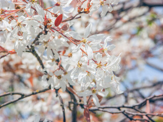 Frühling 2021