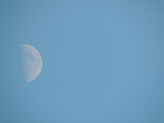 Daily Moon