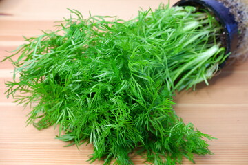 Dill on a wooden table