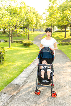 新緑の公園のプロムナードをベビーカーを押し散歩するお母さん。育児イメージ