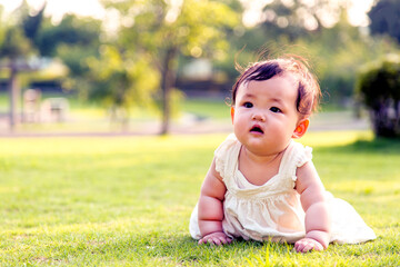 公園の緑の芝の上をハイハイする女の子の赤ちゃん