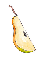 Hand drawn watercolor Natural ripe fruit - Pear slice.