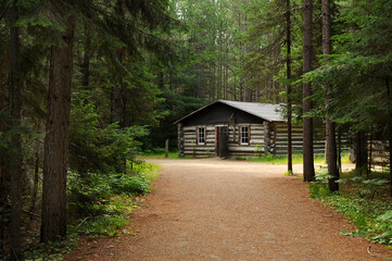 Path to a log cabin in the woods Algonquin Park