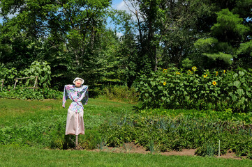 Lady scarecrow in a garden