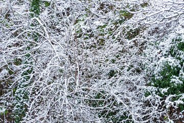 NIEVE EN PIEDRAHITA AÑO 2021