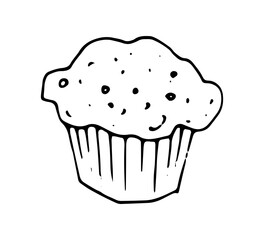 Cupcake or muffin hand drawn vector illustration