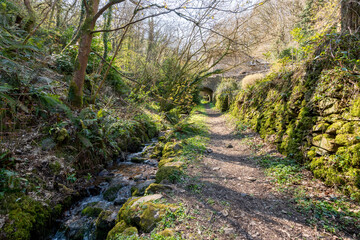 Fototapeta na wymiar View of the footpath just outside Culbone church and heading to Lynmouth via the South West Coastpath