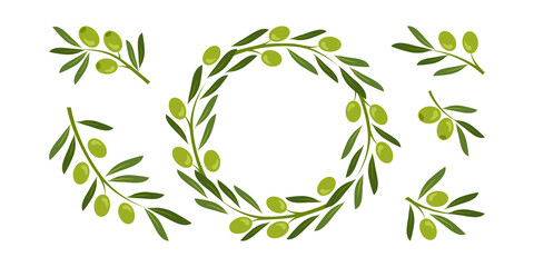 Green olive crown, wreath vector set and greek olive branches, tree leaves twigs. Nature illustration