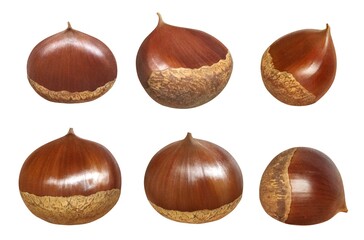 栗 イラスト リアル 単体