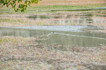 Entorno naturaleza y fauna en Soria.