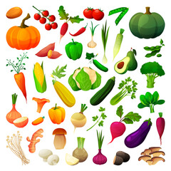 Vegetables and mushrooms set, veggies flat icons