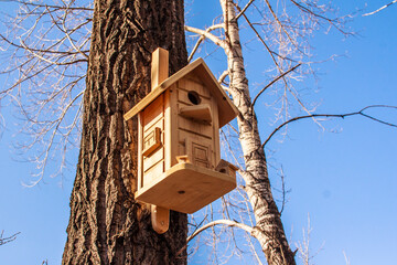 Cute Wooden bird house, bird feeder on the tree against blue sky.  Wild bird care. Helping birds 