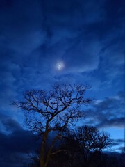 Fototapeta na wymiar Blue moon light