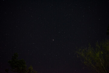 Fototapeta na wymiar night full of bright stars. star trails picture
